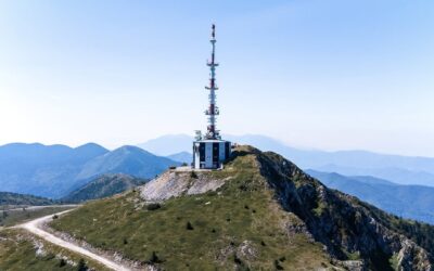 Връх Ореляк