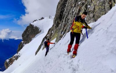 Връх Камилата