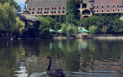 Замъкът Влюбен във вятъра