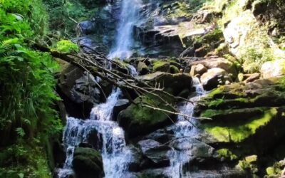 Чипровски водопад