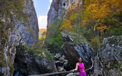 Трън и Ждрелото на Ерма