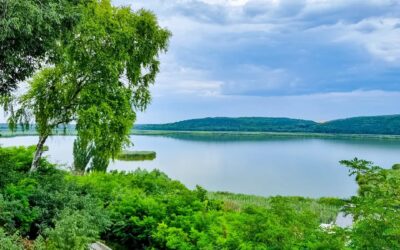 Резерватът Сребърна
